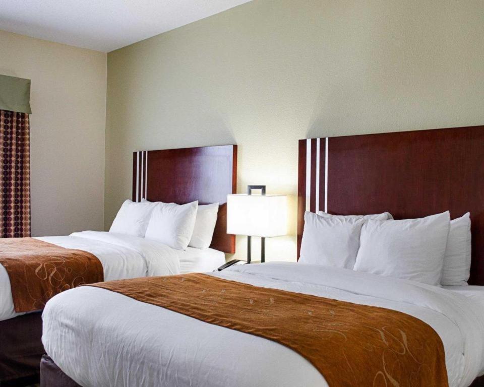 Comfort Suites Greenwood Bagian luar foto
