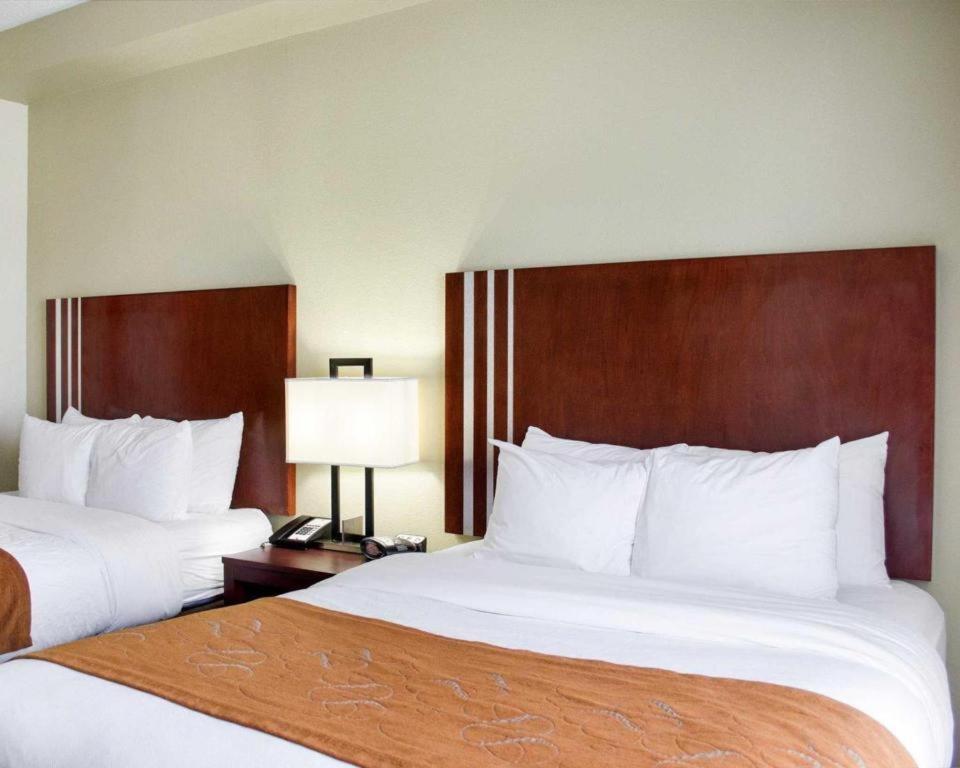 Comfort Suites Greenwood Bagian luar foto